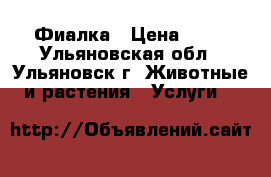 Фиалка › Цена ­ 90 - Ульяновская обл., Ульяновск г. Животные и растения » Услуги   